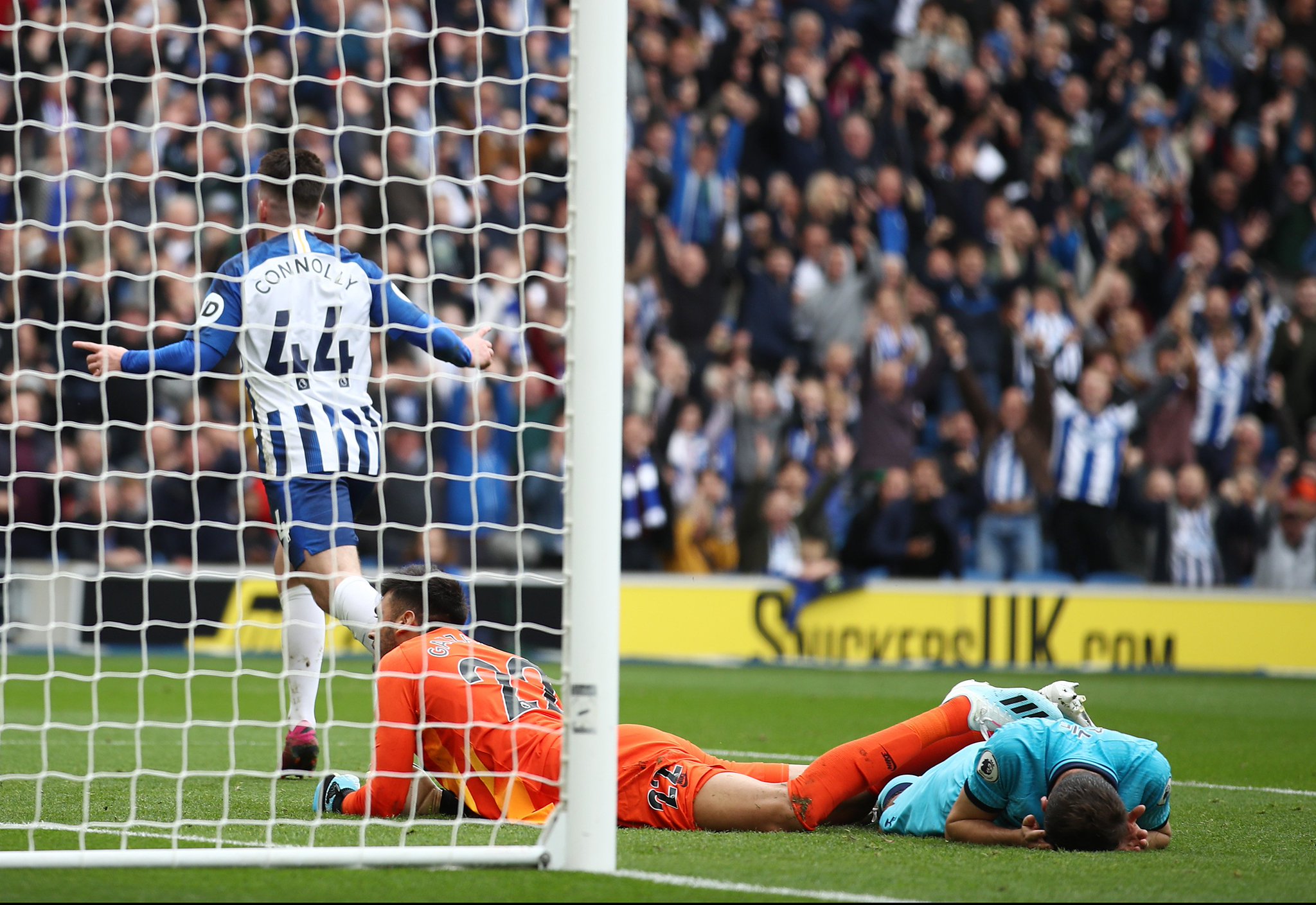 不仅展示了 不仅展示了